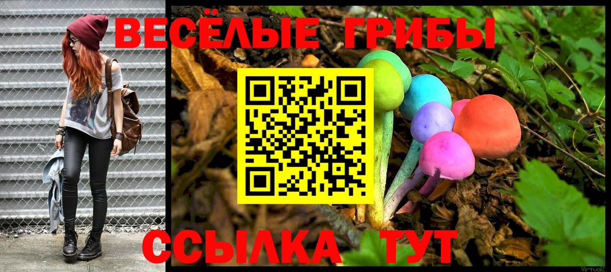 Тобольск  как найти закладки  Вход с VPN  Псилоцибиновые грибы Cubensis 